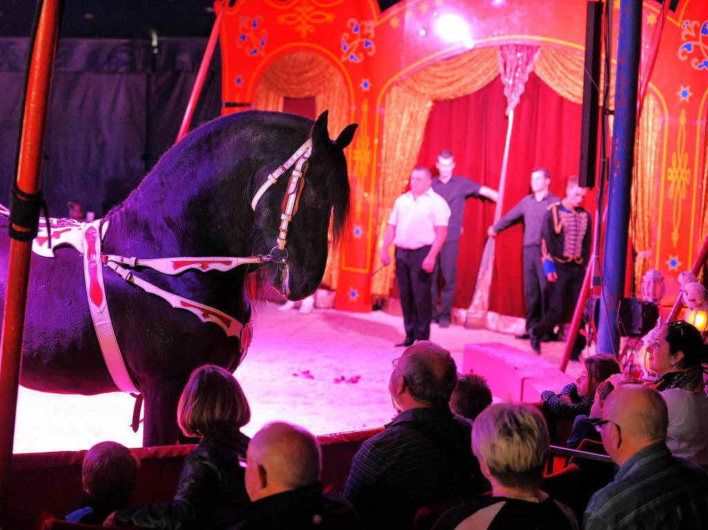 Der Zirkus Montana in Freiburg.