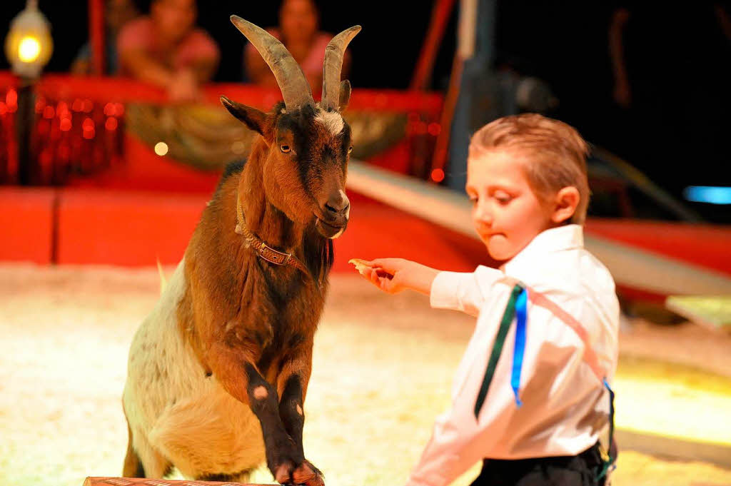 Der Zirkus Montana in Freiburg.