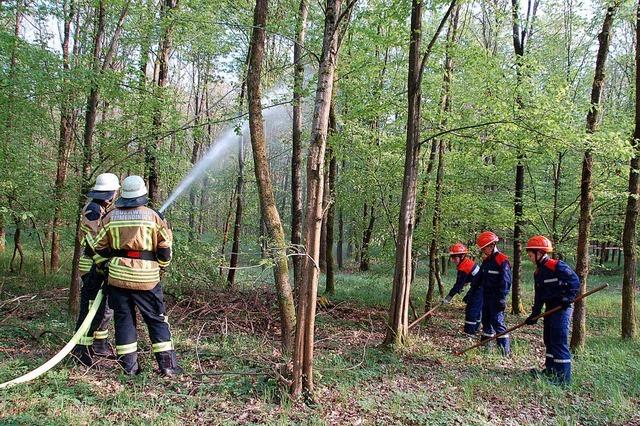 Wenn es im Wald brennt