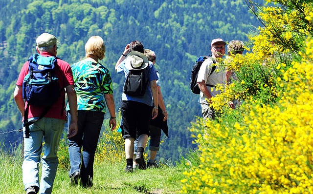 In unserer Region erfreut sich das Wan...d ausgezeichnete Wege tragen dazu bei.  | Foto: hd