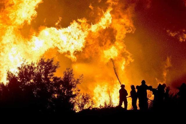 Feuersbrunst in Chile – mindestens 12 Todesopfer