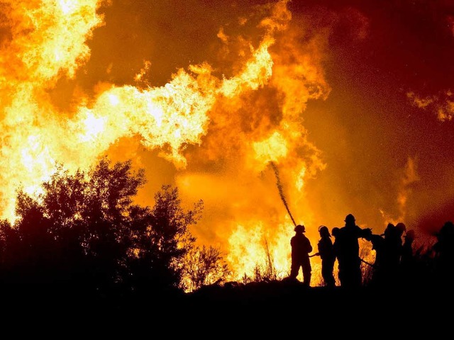 Ein Flammenmeer hat in Chile mehr als 2000 Gebude zerstrt.  | Foto: AFP