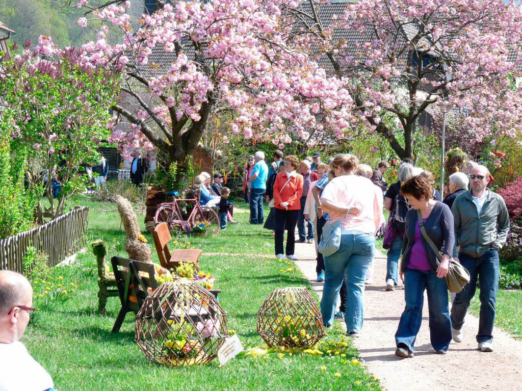 Flieder und Kirschblten im Park. Tausende Besucher genossen den Spaziergang durch den blhenden, sterlich geschmckten Park.