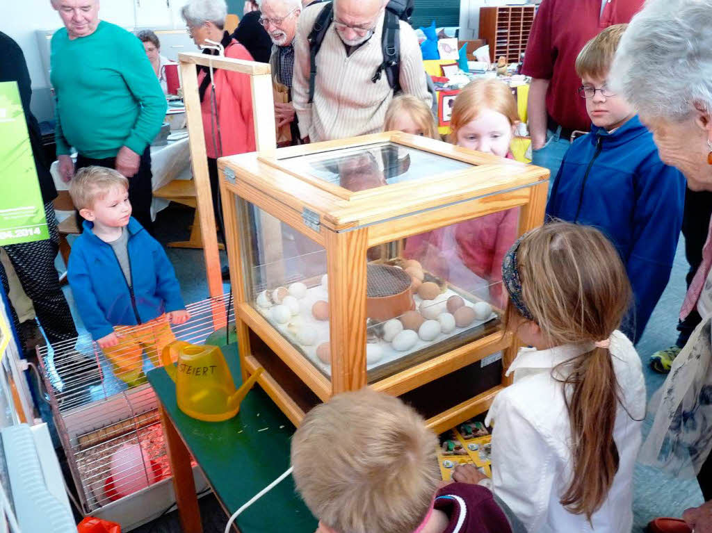 Wann schlpft das nchste Kcken? Kinder warteten gespannt am Brutkasten.