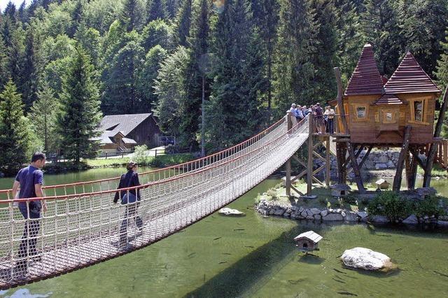 Steinwasenpark mit einem Ticket