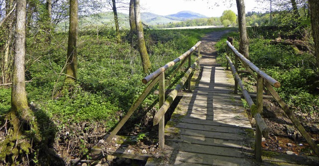 Lichte Wlder, die finstere Geheimniss...Bollschweil bis hinauf zum Kohlerhof.   | Foto: Anne Freyer