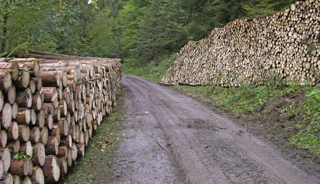 Der Bedarf an Holz ist da, die FBG Ber... vor einer mglichen Borkenkferplage.  | Foto: Ulrike Spiegelhalter