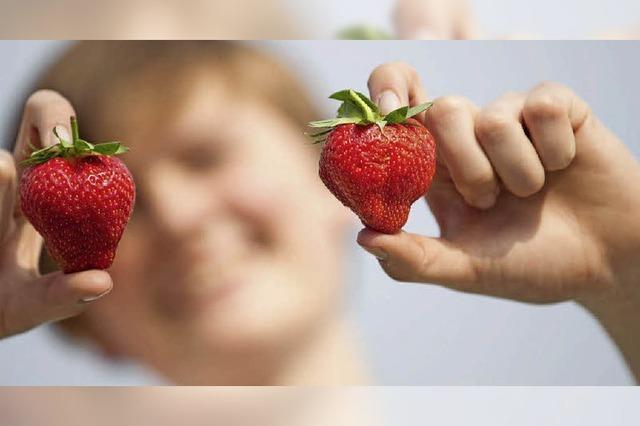 Erdbeeren frh wie nie