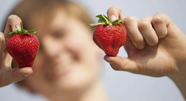 Knallrot und zuckers &#8211; so sollen Erdbeeren sein.    | Foto: bz
