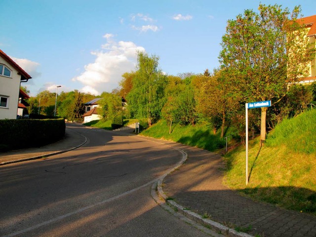 Das Baugebiet Hinterm Hof II liegt hie...umen, Struchern und Wiesen bewachsen.  | Foto: Jutta Schtz