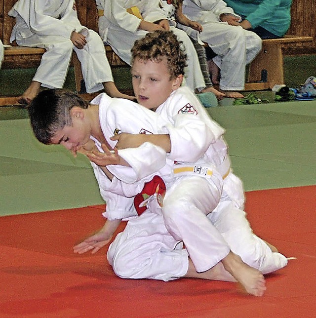 Auch die Judoka wren von einer Sperru...schon vor den Sommerferien betroffen.   | Foto: Frey