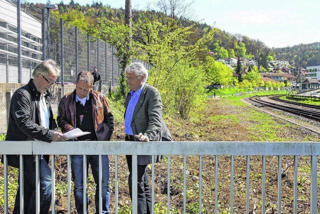 Auf Parkplatzsuche