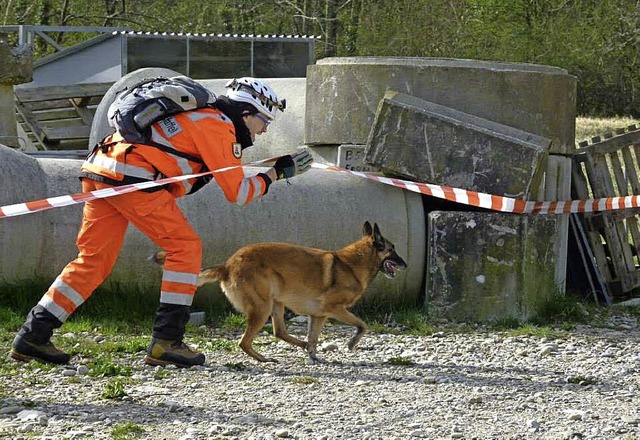 Die Frhjahrsprfung der BRH-Rettungsh...nternationaler Beteiligung vonstatten.  | Foto: BRH-Rettungshundestaffel