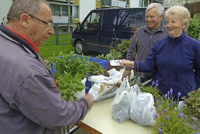 Gute Resonanz auf Pflanzbrse