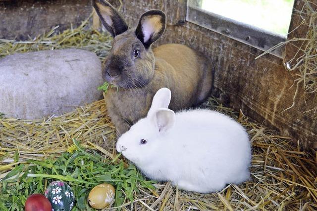 Ostern im Vogtsbauernhof