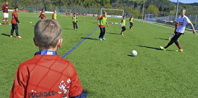 Beim Fchsle-Camp steht das Spiel mit ...m Mittelpunkt, so auch in Buchenbach.   | Foto: Gerhard Lck