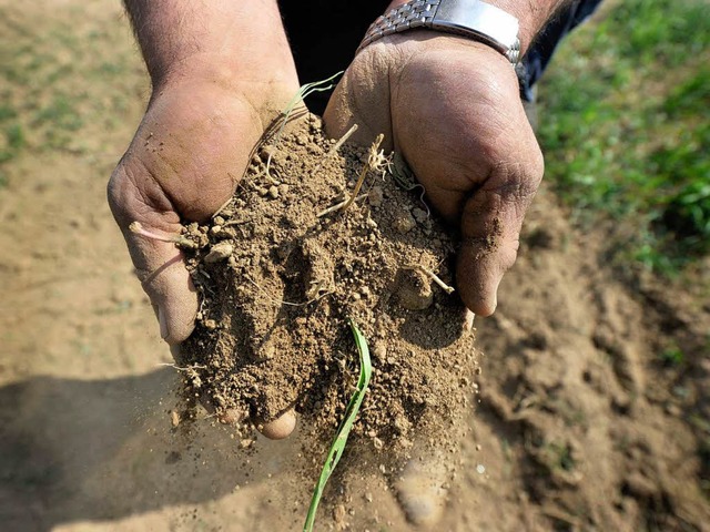 Die trockenen Bden machen den Landwirten zu schaffen.  | Foto: dpa