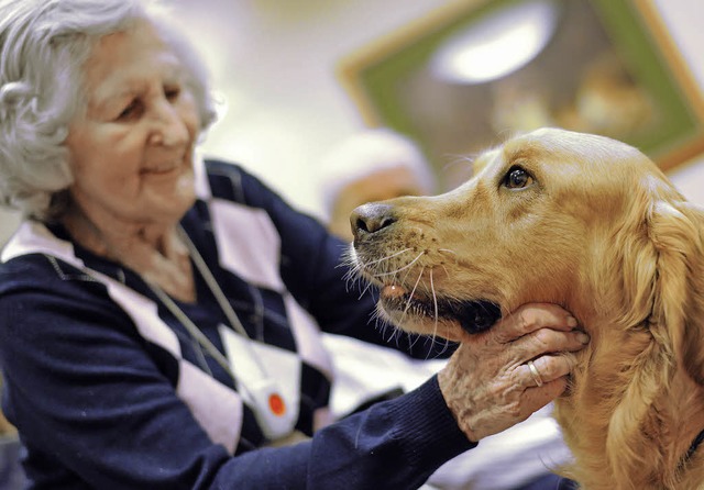 Therapiehund Valentin bei der Arbeit mit einer Alzheimerpatientin  | Foto: dpa/obs/Givagia (fotolia)