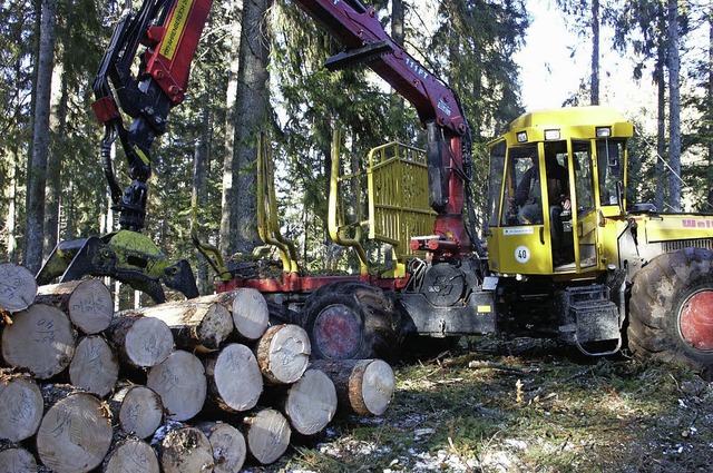 ber eine gute Nachfrage und stabile H...n sich derzeit die FBG Husern freuen.  | Foto: Stefan Sahli