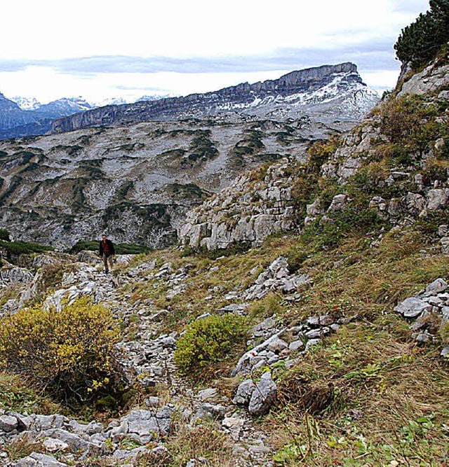 Allguer Alpen mit Hohem Ifen  | Foto: Franz Lerchenmller