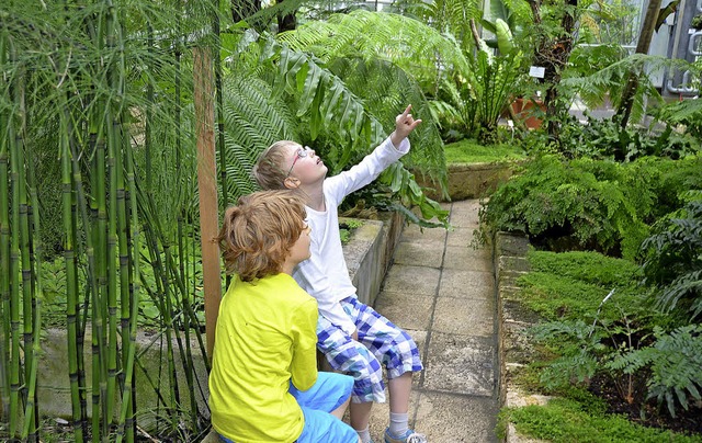 Da staunen nicht nur Kinder: Im Botani...in wenig Geduld  einiges zu entdecken.  | Foto: Anita Fertl