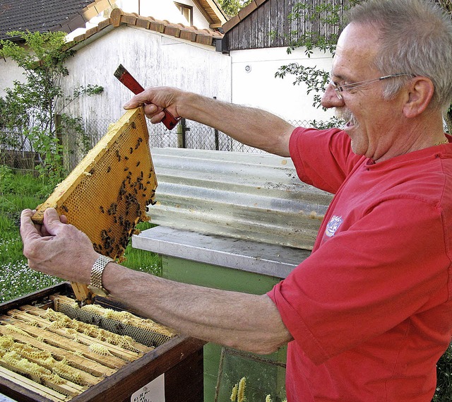 Markus Strau freut sich, dass die Bienenvlker sich erholen.   | Foto: Schtz