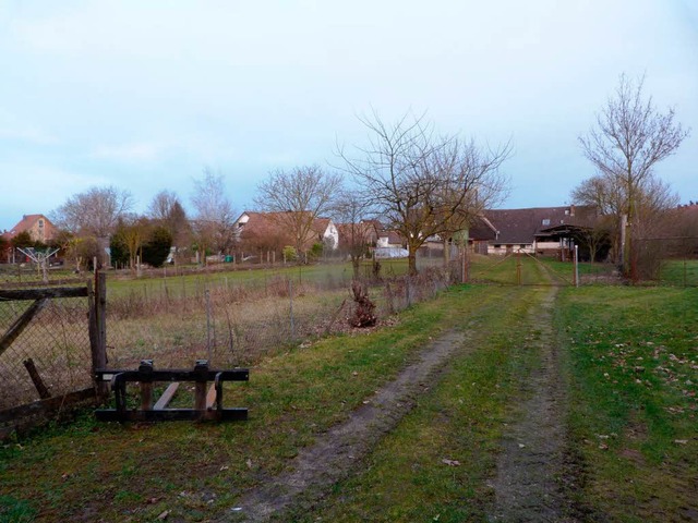 Riesige Grten, die noch bebaut werden...ndlingen im Gebiet Lger-Immengrten.  | Foto: Christine Weirich
