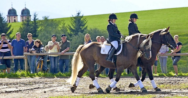 Besuchermagnet: Das Rossfest in St. Mrgen  | Foto: Herbert Mark