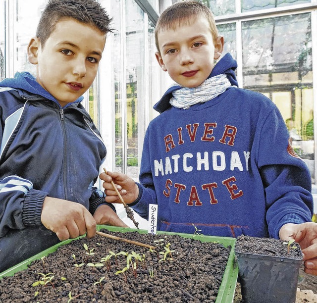 Luan (links) und Dominik gehren zur S...l VITA Stiftung grtnert.Bild: Freudig  | Foto: BZ