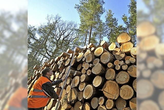 Holzwirtschaft hatte im Jahr 2013 nicht zu klagen