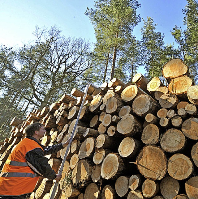 2013 war ein gutes Jahr fr die Holzwirtschaft.  | Foto: dpa