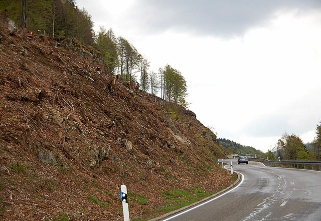 Der als Verkehrssicherungsmanahme erf... Todtnauberg brachte etwa 40000 Euro.   | Foto: Ulrike Jger