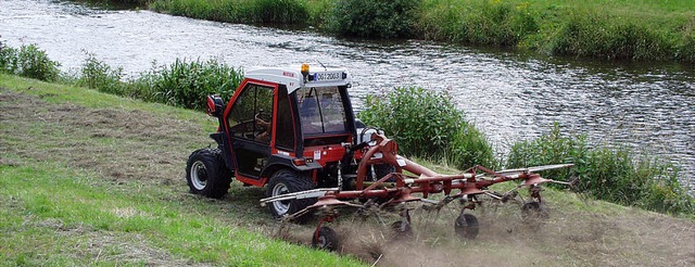 Heikle Flche &#8211; fr Uferzonen gelten besondere Anbauregeln.   | Foto: Faller