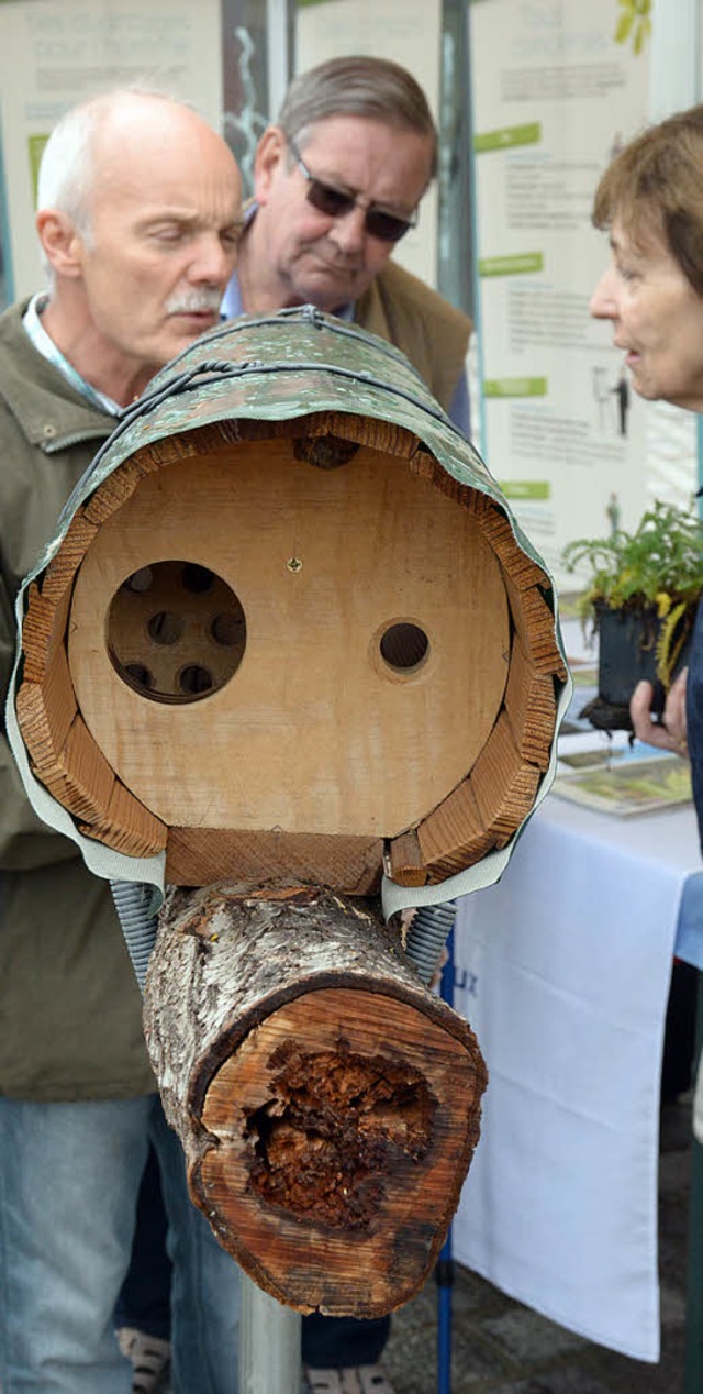 Vogelschtzer zeigen einen mardersicheren Nistkasten fr Steinkuze.  | Foto: Hannes Lauber