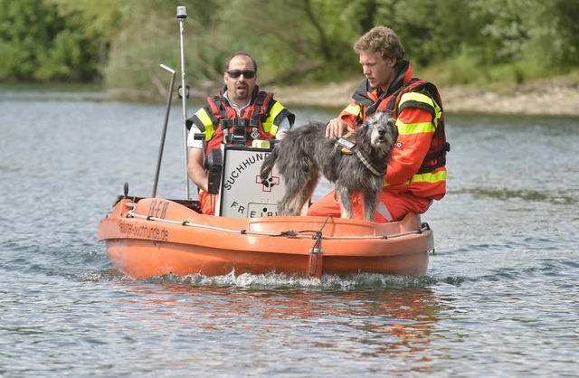 Hund auf Kreuzfahrt I  | Foto: Michael Bamberger