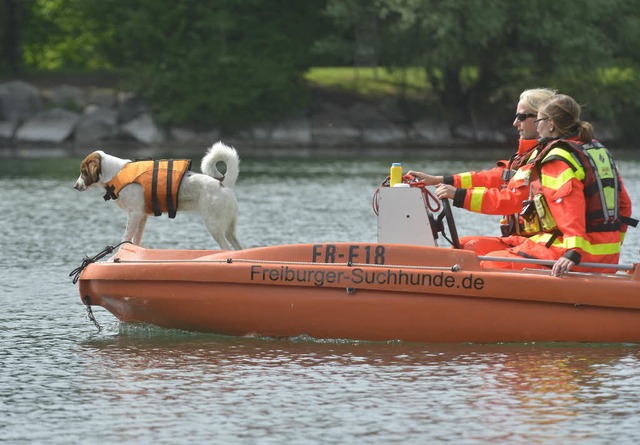 Hund auf Kreuzfahrt II  | Foto: Michael Bamberger