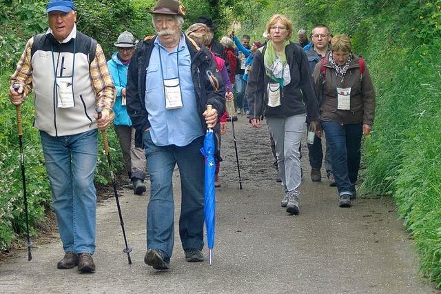 Wandern und Genieen in den Bahlinger Reben