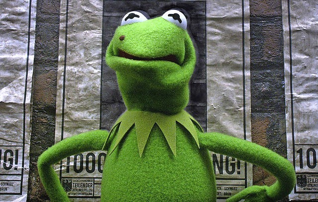 Knastbruder: Kermit   | Foto: wds