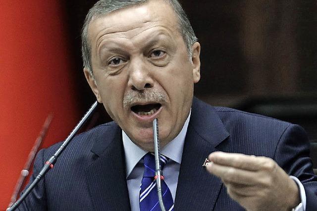 Erdogan geht mit Gauck ins Gericht
