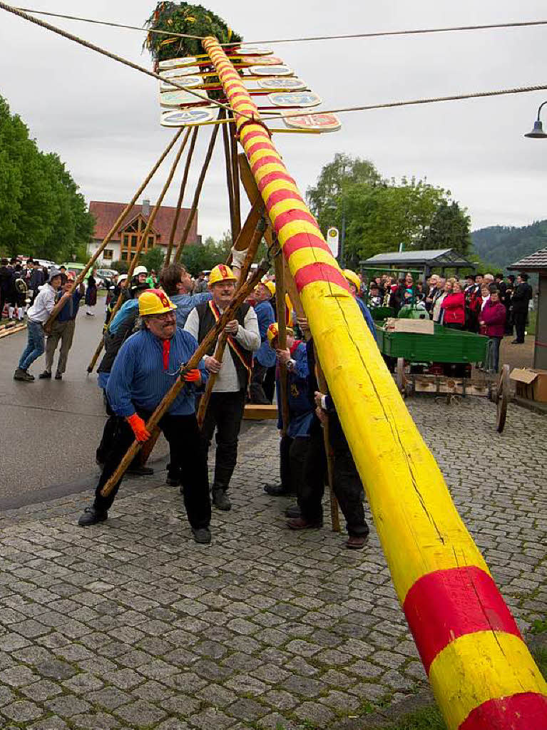 Maibaumstellen in Bleibach