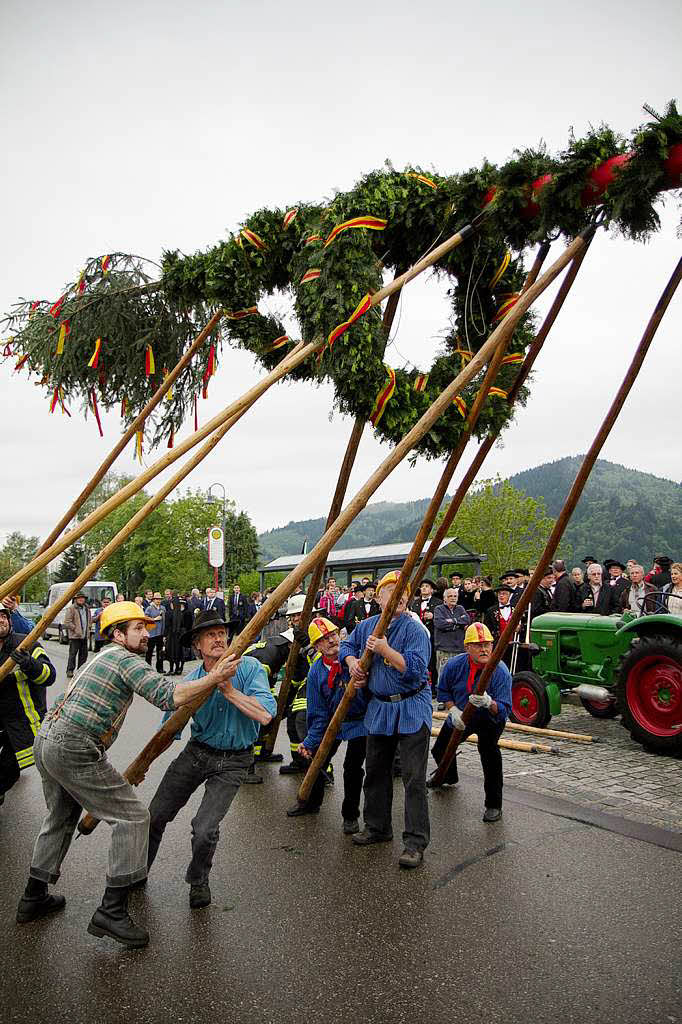 Maibaumstellen in Bleibach