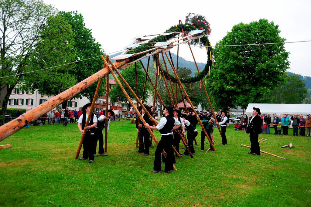 Maibaumstellen in Simonswald