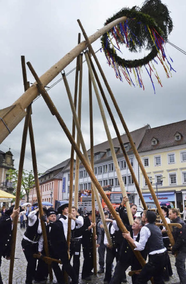 Und Druck! Mit vereinten Krften stemm...leute den Handwerkerbaum in die Luft.   | Foto: Sylvia-Karina Jahn