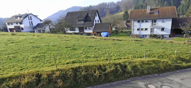 Steinens  Gemeinderat hat am Dienstag ...ts Hofcker in Weitenau frei gemacht.   | Foto: Robert Bergmann