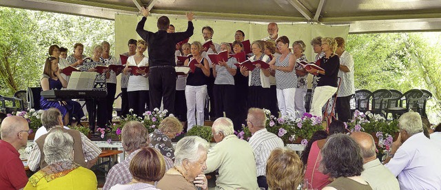Der Kammerchor, hier beim Sommerkonzer...nzentriert sich nicht auf Volkslieder.  | Foto: ZVG