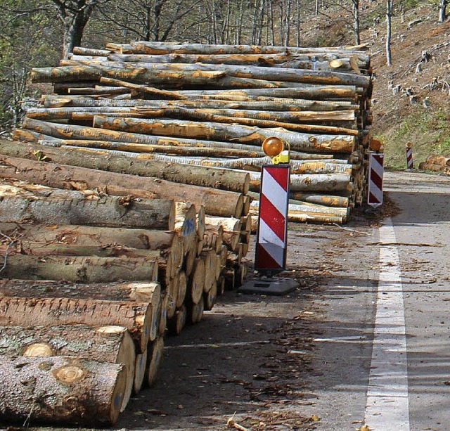 Hervorragend gewirtschaftet: Todtnaus ...warf einen Erls  von 720000 Euro ab.   | Foto: Hermann Jacob