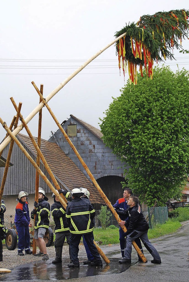 Krnbergs Floriansjnger  errichteten den Maibaum erstmals per Muskelkraft.   | Foto: Steinfelder