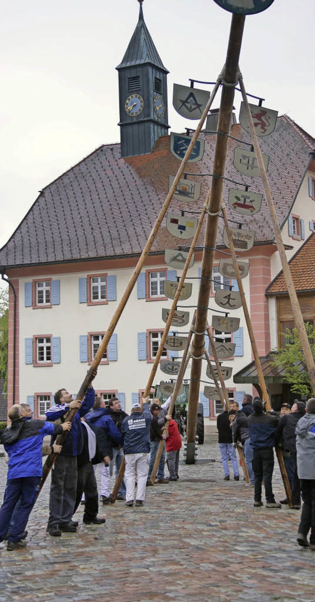 Mit vereinten (Muskel-)Krften wurde der Maibaum aufgestellt.  | Foto: Chris Seifried