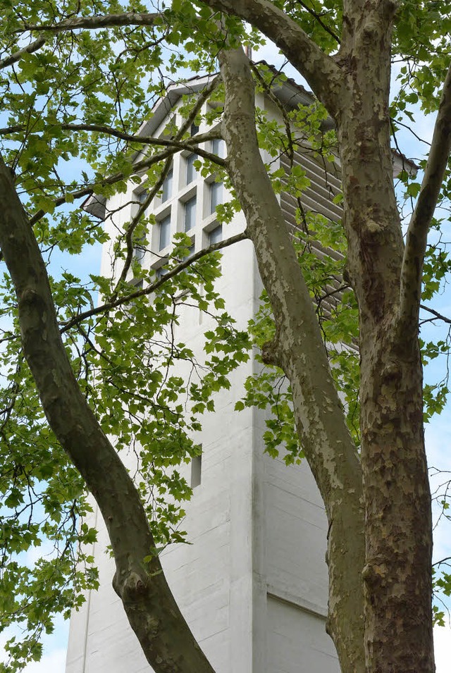 Der  wertvolle alte Baumbestand rund u...ginnt nun der Architektenwettbewerb.    | Foto: Lauber