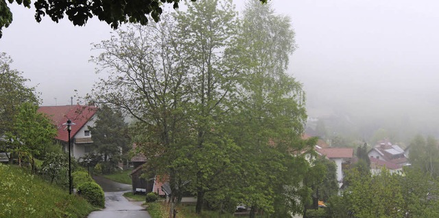 Steinens Ortsteil Endenburg ist ein   ...andere verbinden damit Befrchtungen.   | Foto: Anja Bertsch